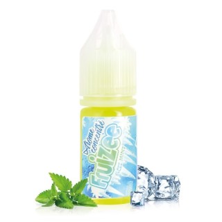 Koncentrirana aroma Icee Mint 10 ml – Fruizee