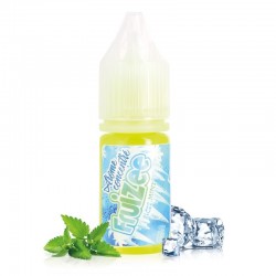 Geconcentreerd Aroma Icee Mint 10 ml - Fruizee