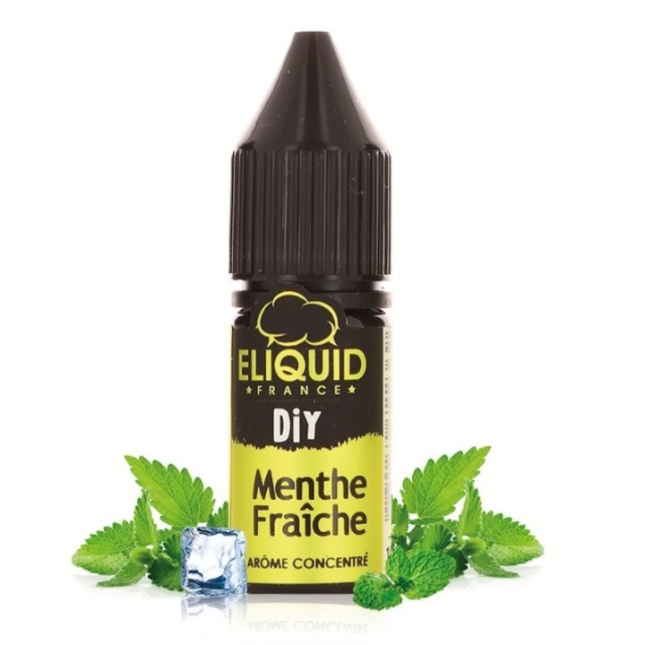 Aromato koncentratas Menthe Fraiche 10 ml – Eliquid France